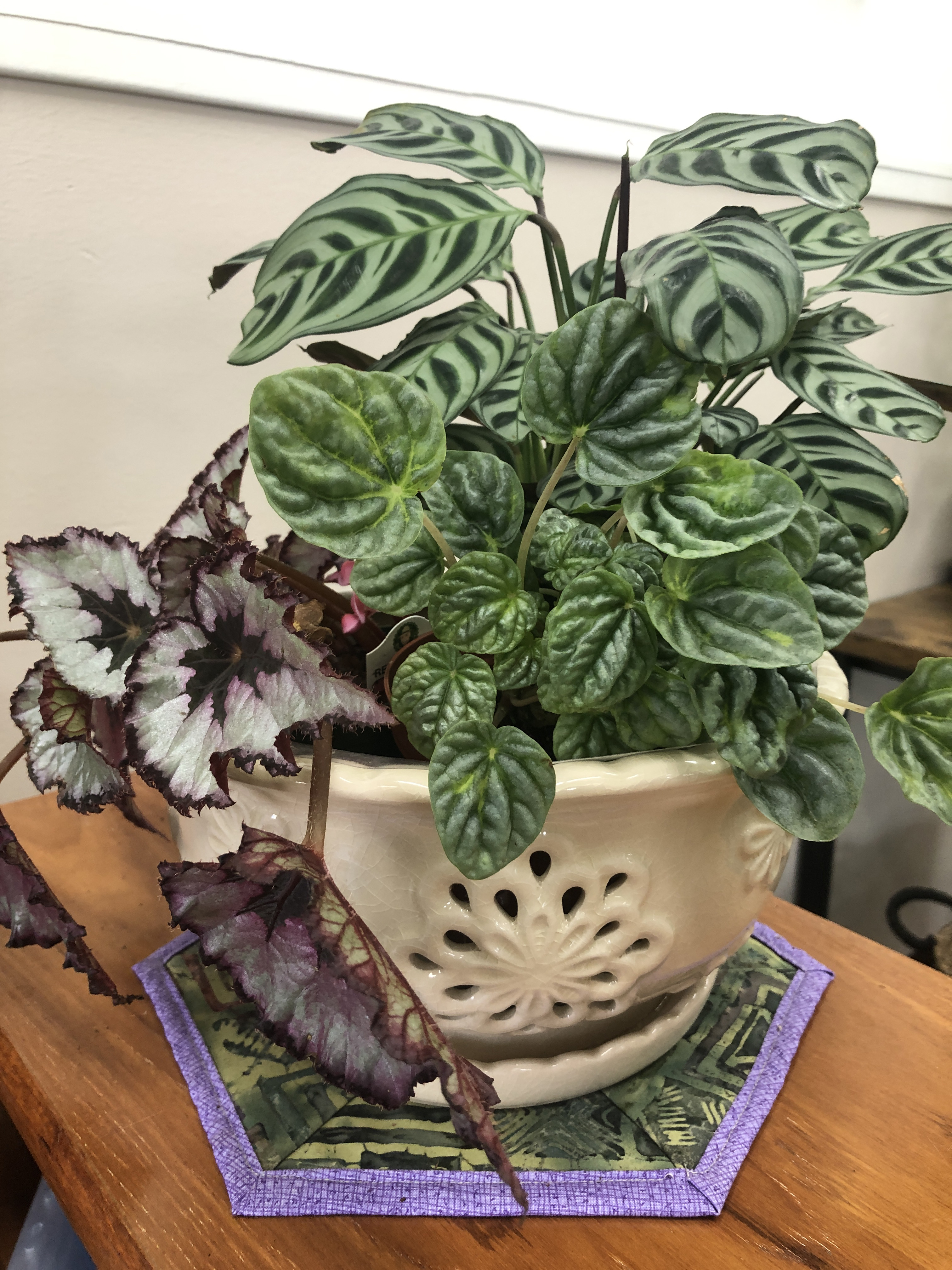 Tabletop dish garden